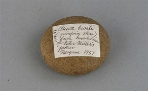 Image description is not available for DU1974.97